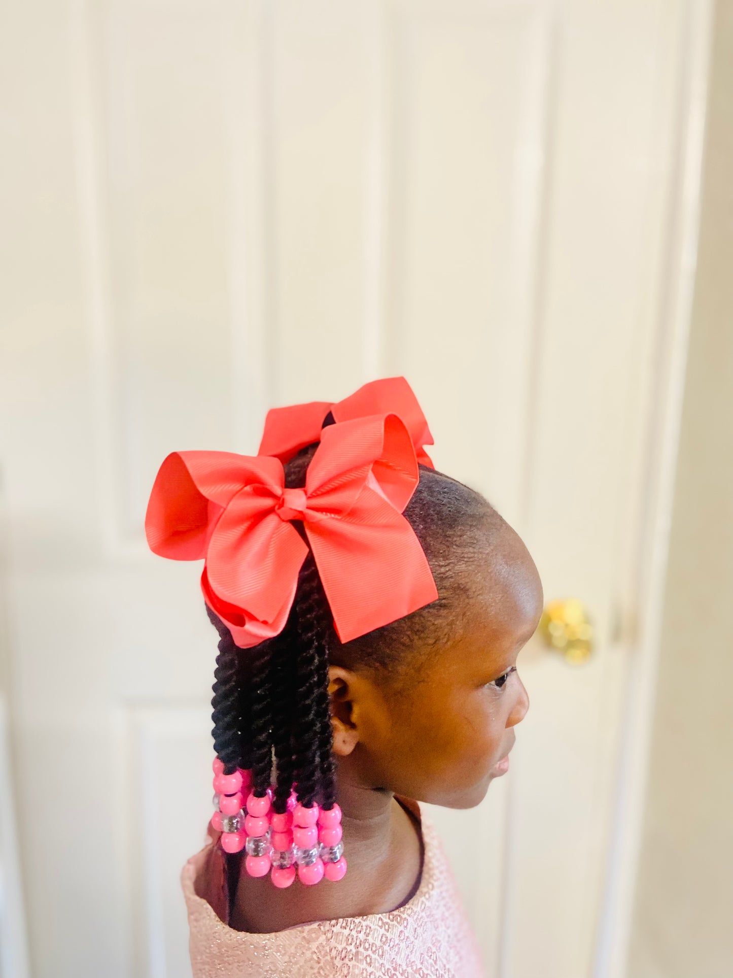 Braided Ponytail with Detachable Bow - Double (Pair)